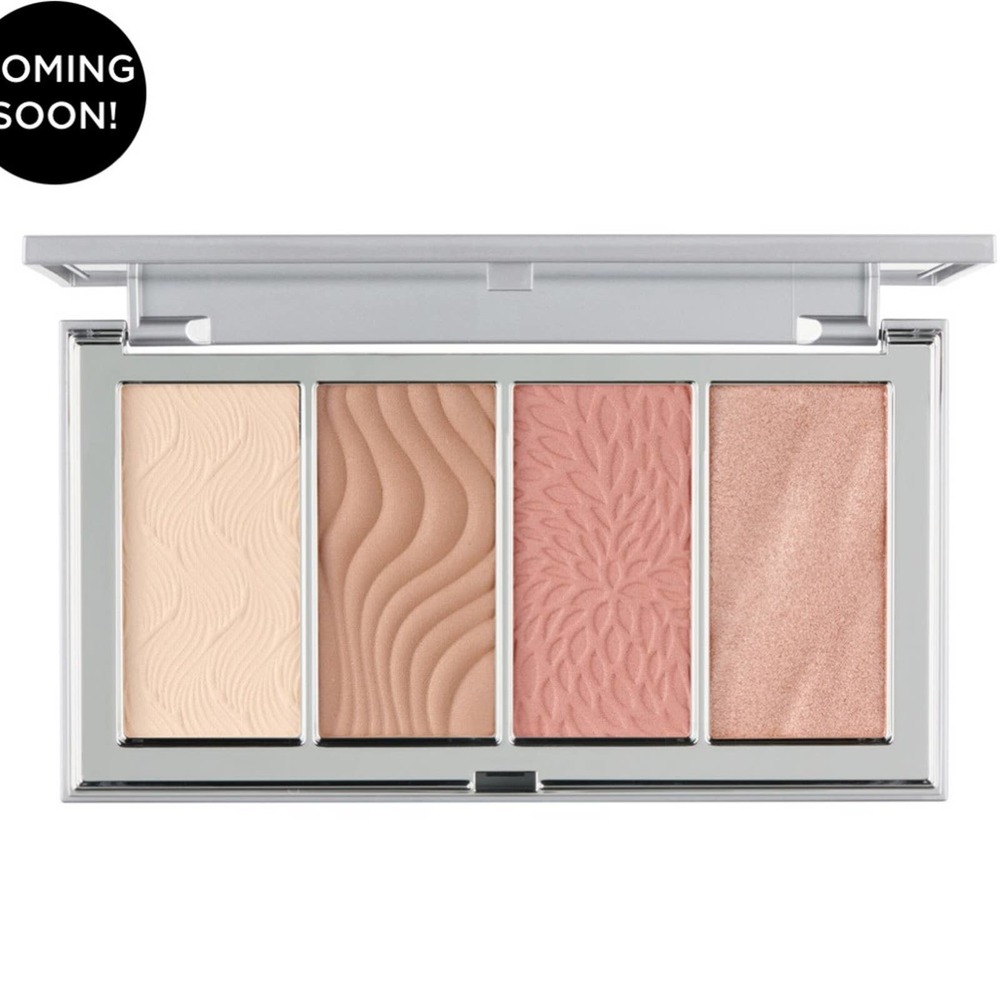 Pur 4 in 1 skin perfecting powders fair light